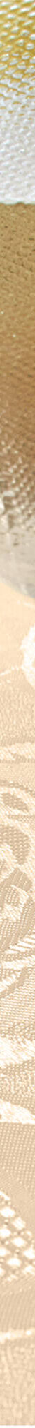 Nappe jacquard damassé (vanille) Nappe jacquard damassé (vanille)